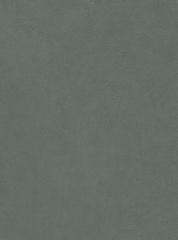 Palette Verde Sherwood Palette Verde Sherwood