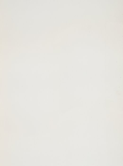 Finitura quarzo Bianco Perlato